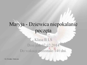 Maryja dziewica niepokalanie poczęta