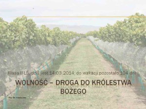 Wolność - droga do Królestwa Bożego