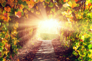 Fot. ? Sunny Forest - Fotolia.com